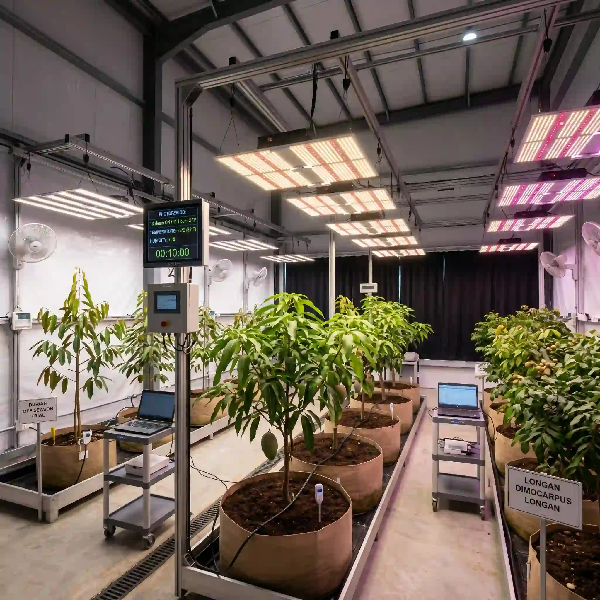 Horticulture & Ornamental Plants