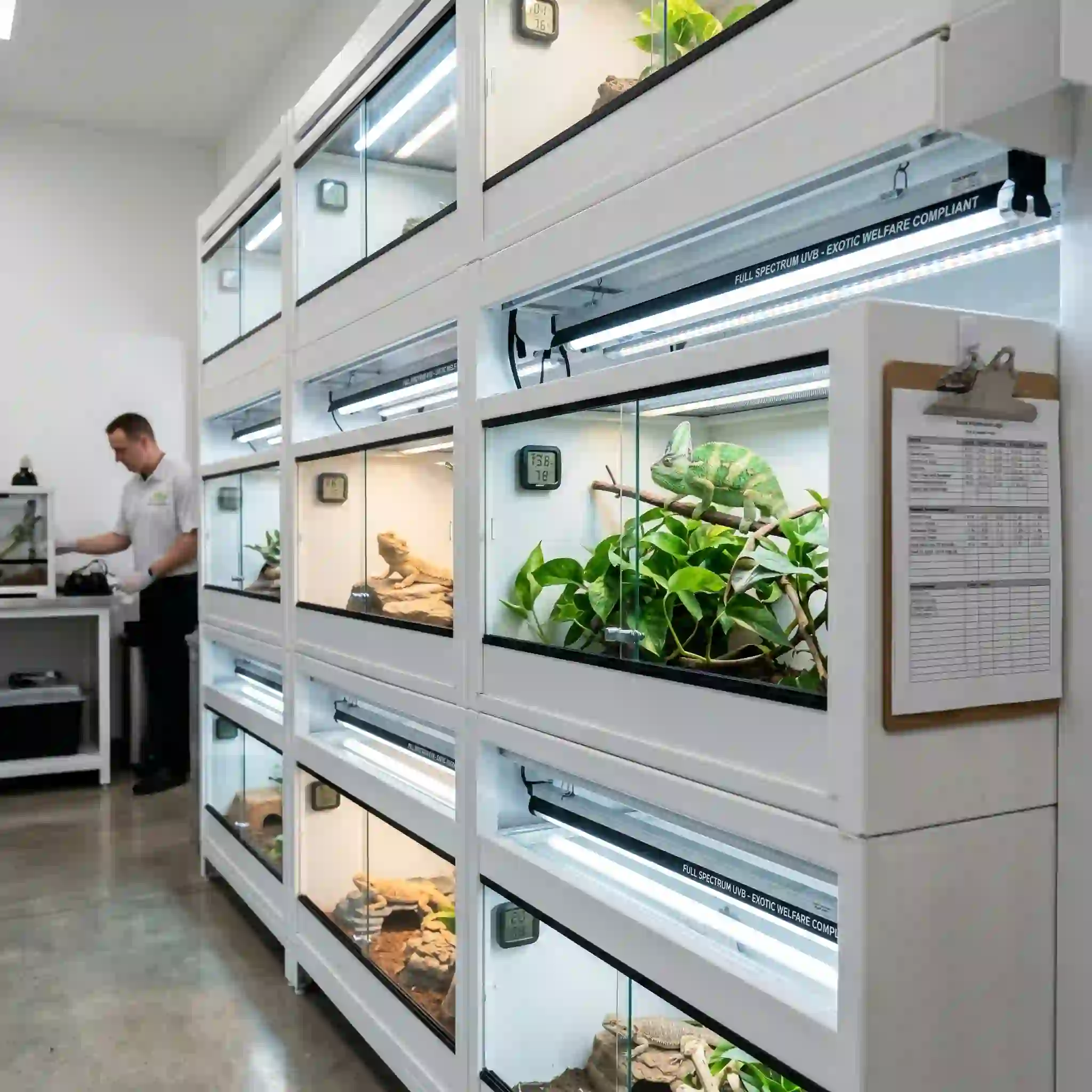 Reptiles & Special Breeding Facilities